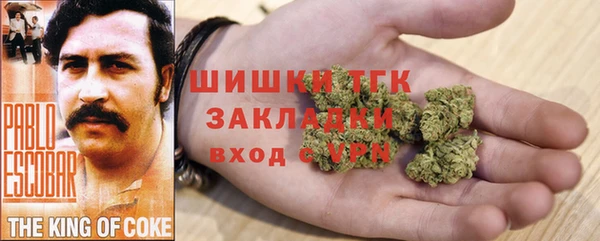 круглые Корсаков