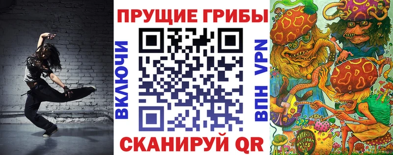 Купить  Любань  Псилоцибиновые грибы Psilocybine cubensis 